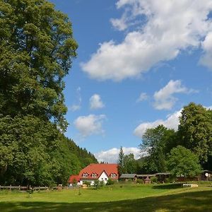 Zur Sommerfrische Lothramühle